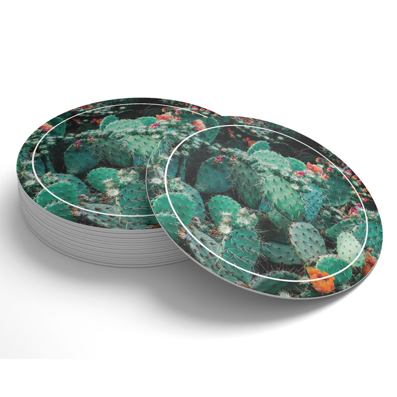 Stock Drink Coasters, Premade coasters with cactus design